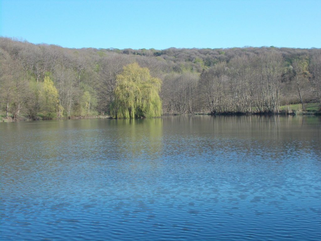 Pèche à l'étang de Montigny